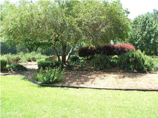 152 Sundown Road Madison, MS 39110 - Photo 5 of 25 Photo 5