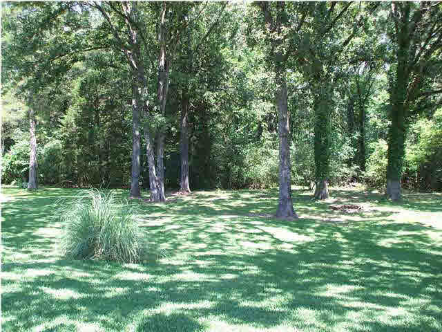 152 Sundown Road Madison, MS 39110 - Photo 10 of 25 Photo 10