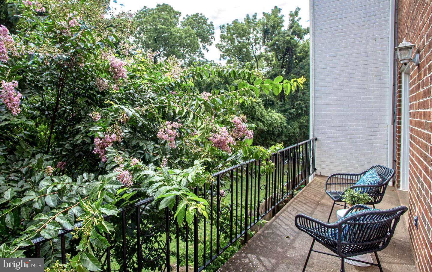 3251 Sutton Place Northwest, Unit B Washington, DC 20016 - Photo 9 of 34 Balcony with views of Glover Archbold Park