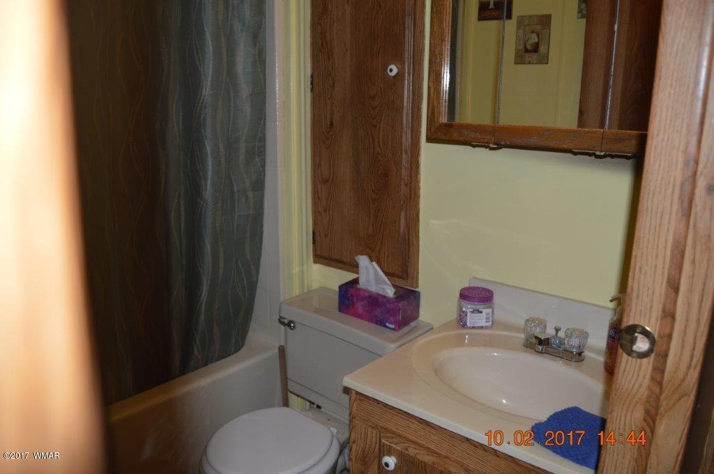 2270 Hanging Tree Lane, Unit 170 Overgaard, AZ 85933 - Photo 6 of 10