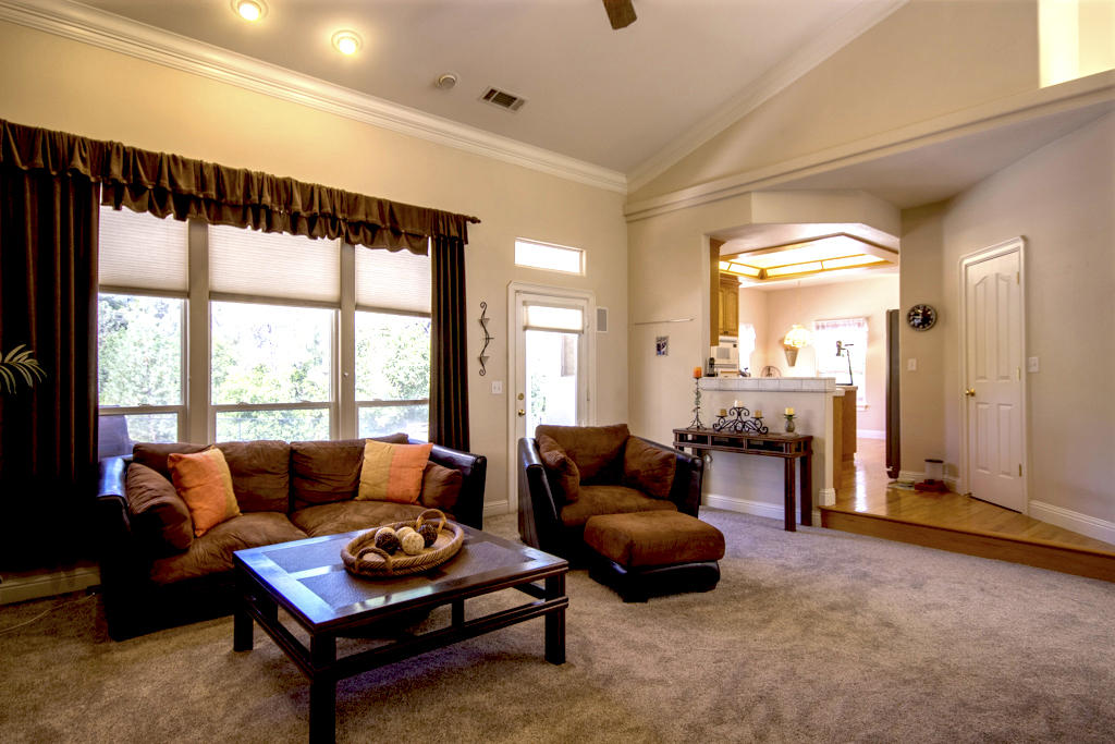 10050 Tilton Mine Road Redding, CA 96001 - Photo 3 of 35 family room