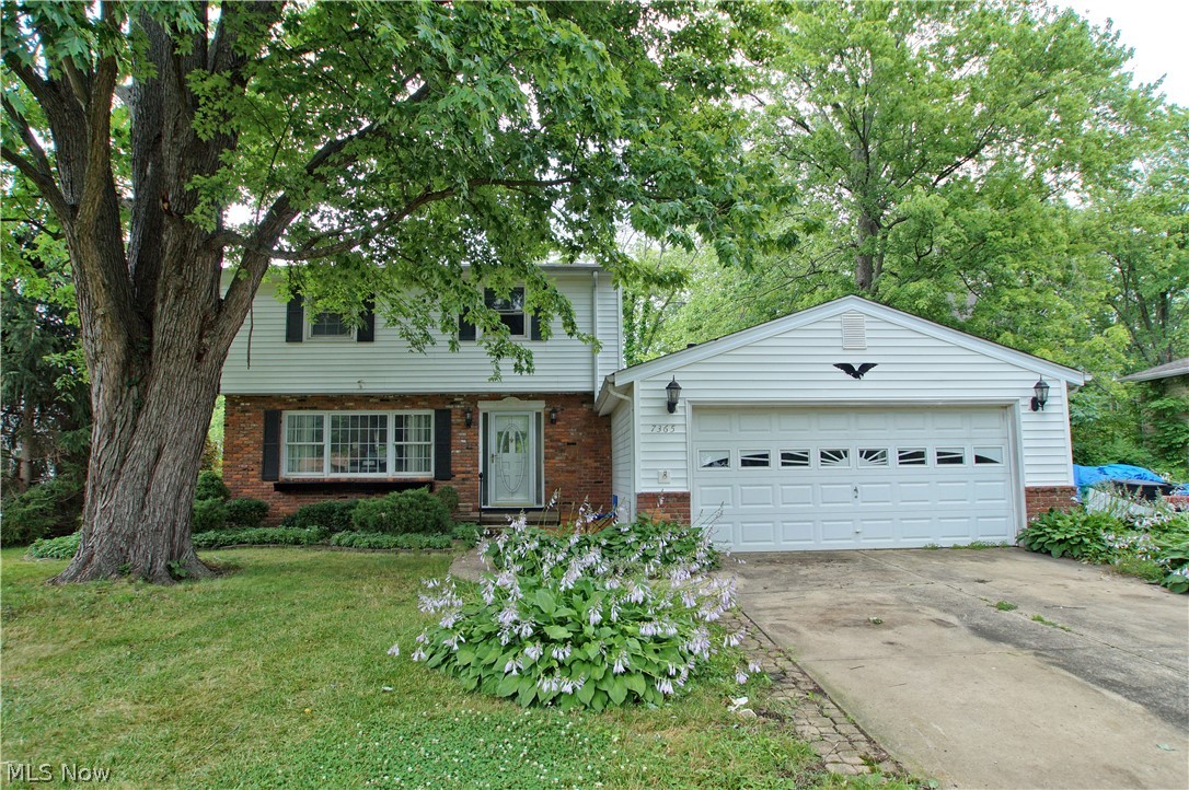 7365 Hopkins Road Mentor, OH 44060 - Photo 1 of 17 Gallery Image 1