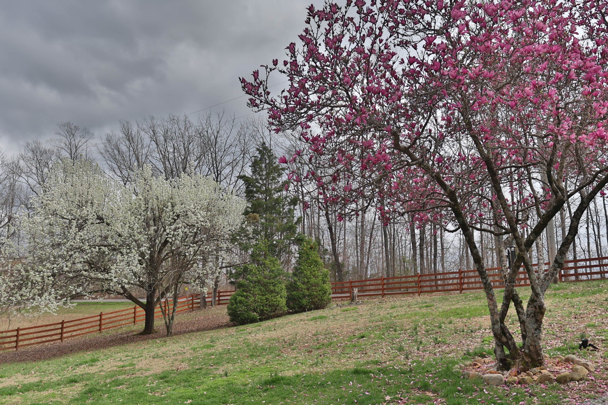 1660 Leatherwood Road White Bluff, TN 37187 - Photo 8 of 41