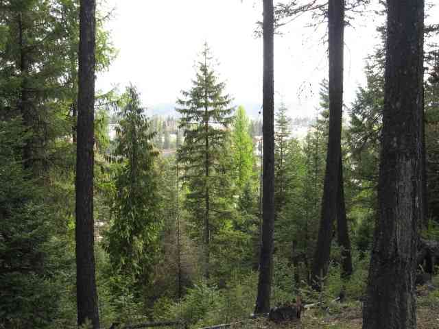 0 Silver Birch Road Newport, WA 99156 - Photo 2 of 8 Gallery Image 2