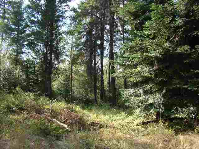 0 Silver Birch Road Newport, WA 99156 - Photo 6 of 8 Gallery Image 6