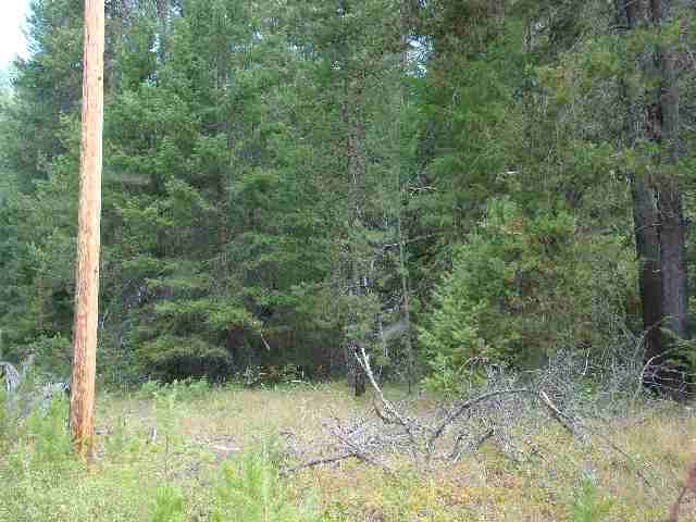 0 Silver Birch Road Newport, WA 99156 - Photo 7 of 8 Gallery Image 7