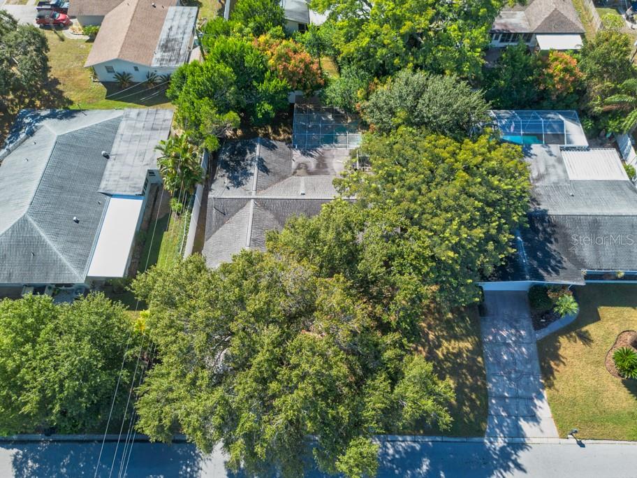 1877 Dawn Drive Clearwater, FL 33763 - Photo 31 of 36 an aerial view of a house with a yard