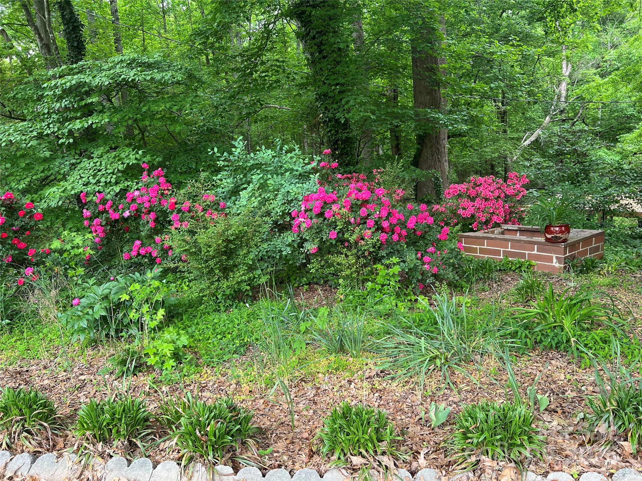 33611 Mann Road Albemarle, NC 28001 - Photo 3 of 40 Gallery Image 3