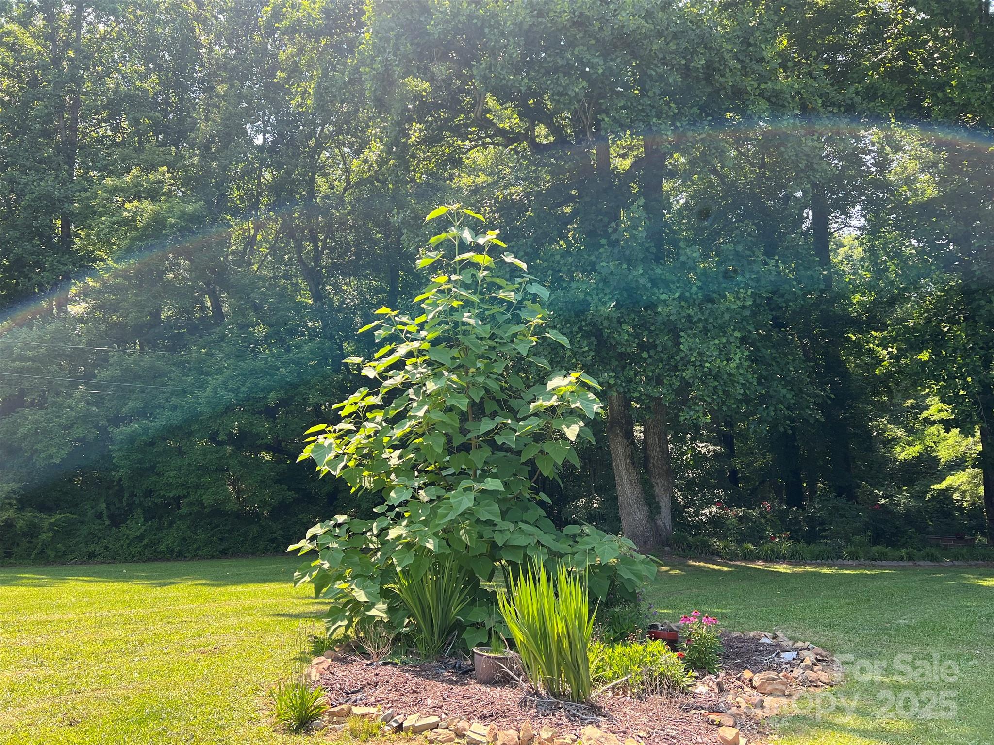 33611 Mann Road Albemarle, NC 28001 - Photo 5 of 40 Gallery Image 5