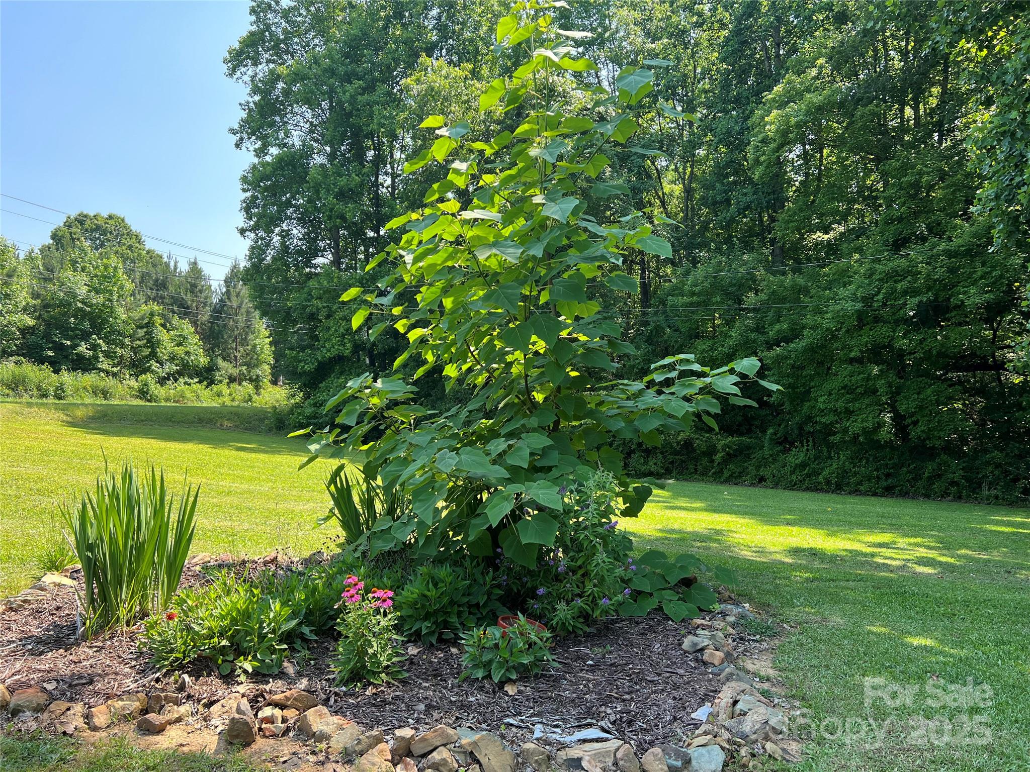 33611 Mann Road Albemarle, NC 28001 - Photo 6 of 40 Gallery Image 6