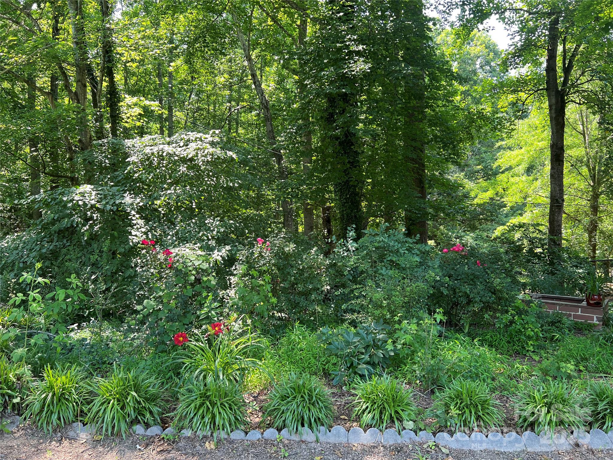 33611 Mann Road Albemarle, NC 28001 - Photo 7 of 40 Gallery Image 7