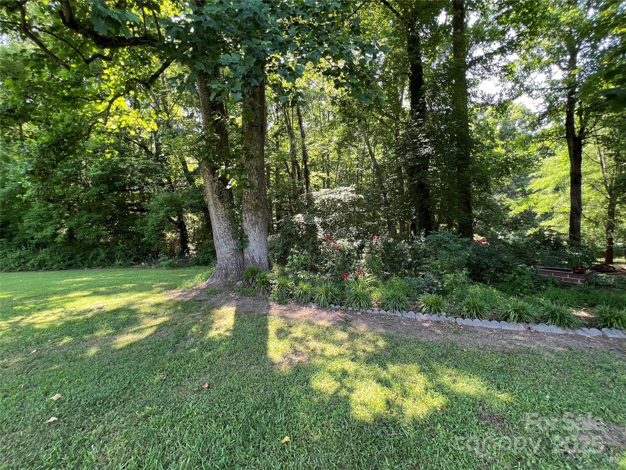 33611 Mann Road Albemarle, NC 28001 - Photo 8 of 40 Gallery Image 8