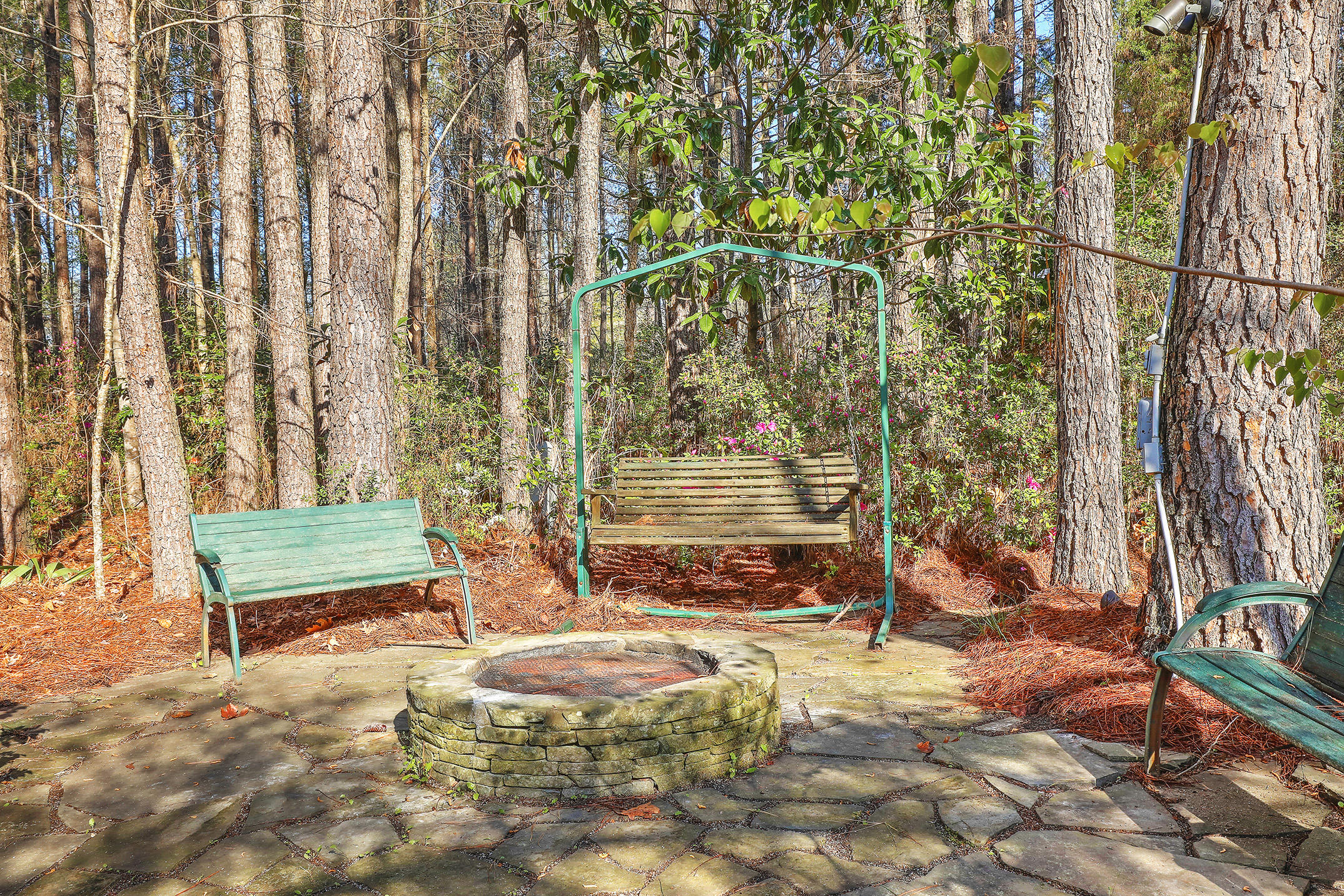 174 Candace Drive Ridgeville, SC 29472 - Photo 35 of 37 1R3A5134_5_6