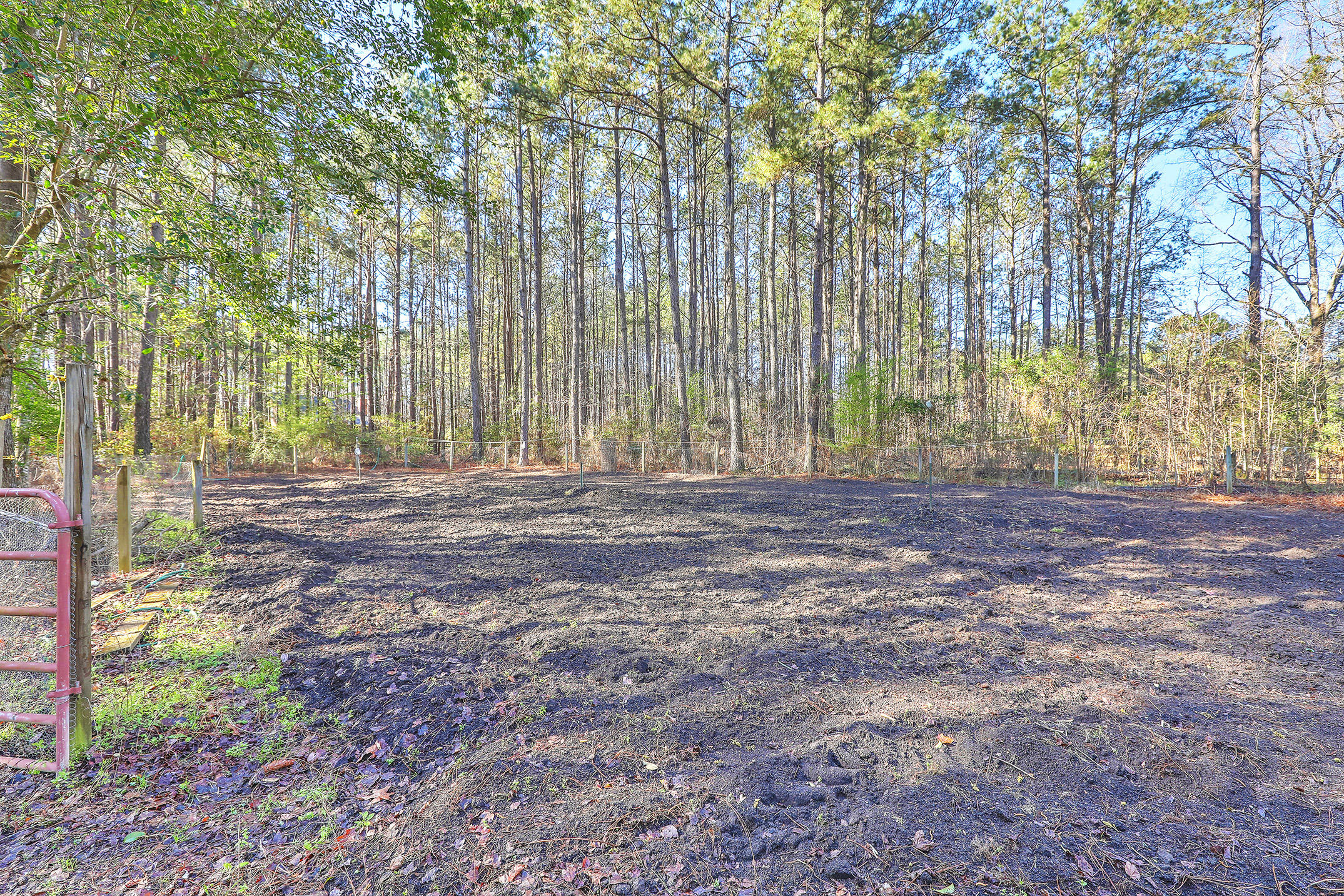 174 Candace Drive Ridgeville, SC 29472 - Photo 37 of 37 1R3A5164_5_6