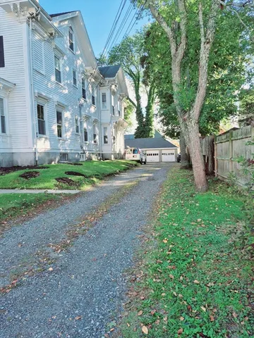 a view of a street with a large trees