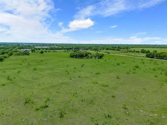 a view of a lush green space
