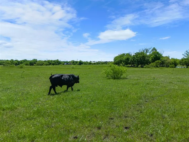 a view of outdoor space with garden and trees