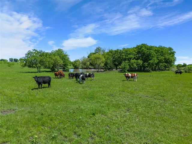 a view of a play ground