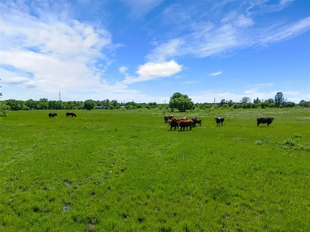 a yard with lots of green space and mountain view in back