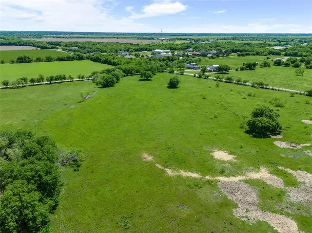 a view of a green yard with large trees