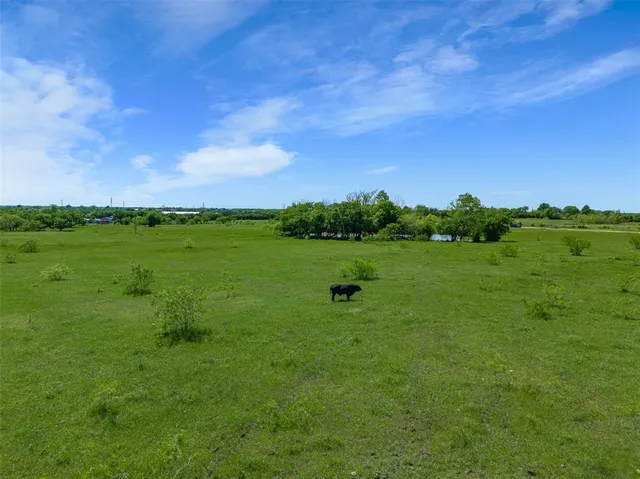 a view of a golf course with a garden