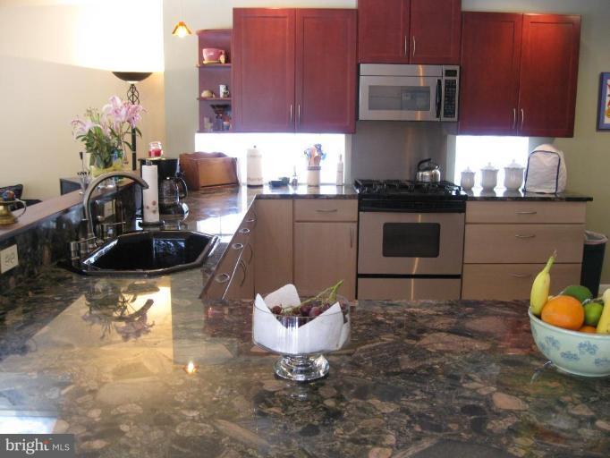 1204 Edgemont Road Towson, MD 21286 - Photo 7 of 25 GOURMET / CHEF'S KITCHEN