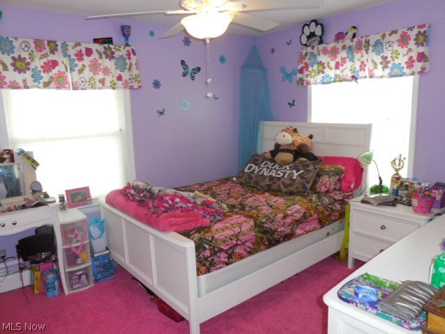 11065 Blott Road North Jackson, OH 44451 - Photo 15 of 21 Gallery Image 15