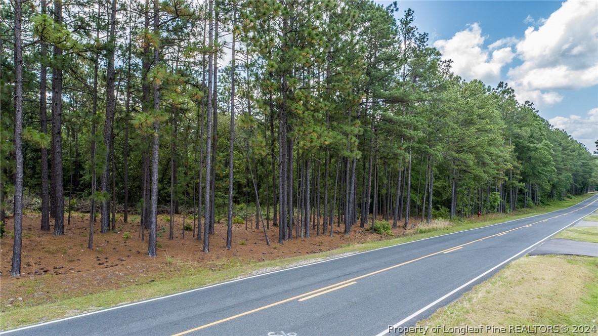 400 Hillmon Grove Road Cameron, NC 28326 - Photo 8 of 18 Gallery Image 8