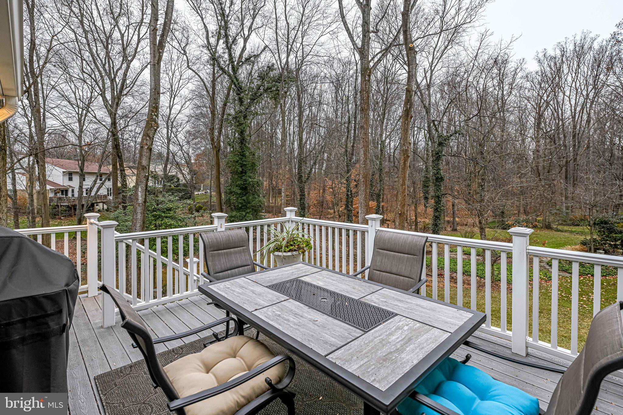 926 Ridge Drive McLean, VA 22101 - Photo 61 of 63