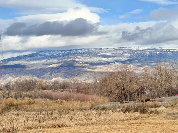 $789,750 | 1774 Trapper Court, Delta, CO 81416