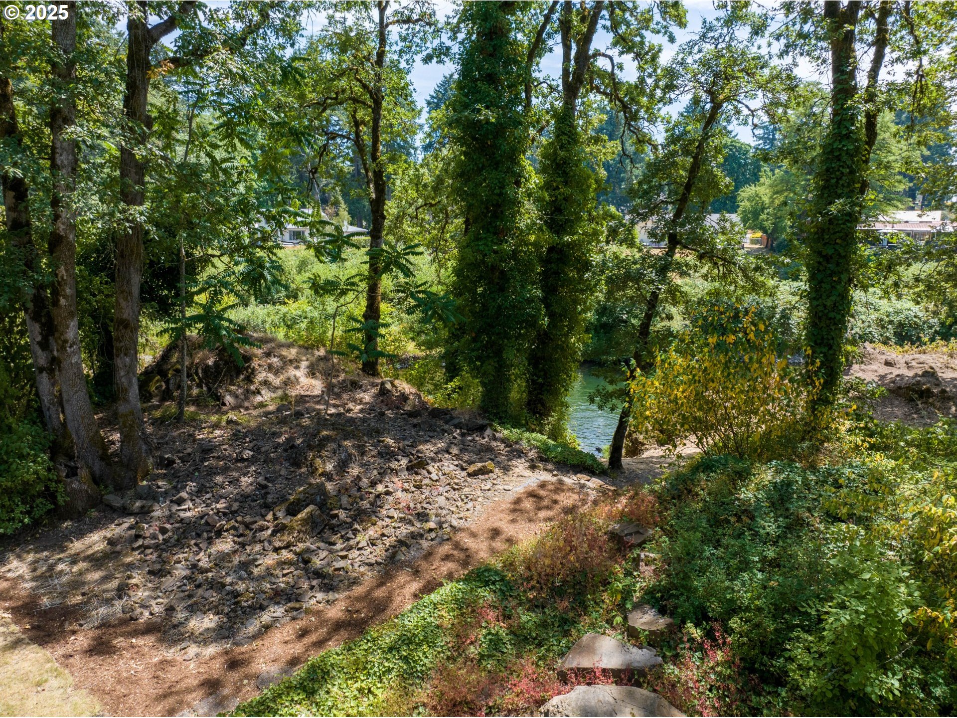 690 North Shepherd Road Washougal, WA 98671 - Photo 38 of 38 a big yard with lots of trees