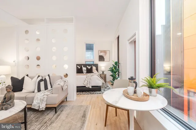 a living room with furniture and a potted plant