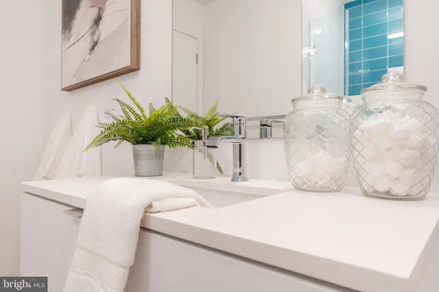 a close view of sink and a potted plant