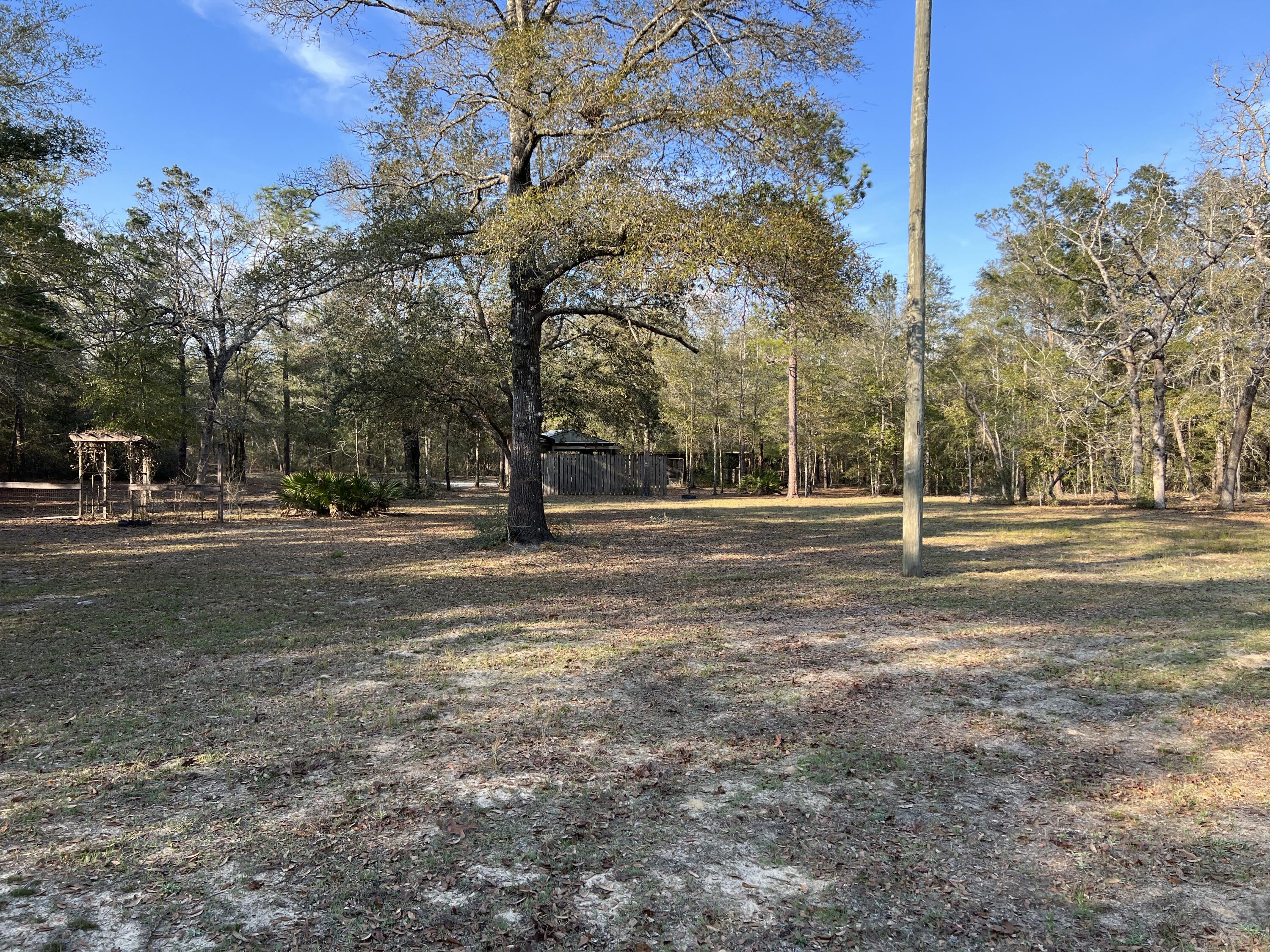 135 Henderson Road DeFuniak Springs, FL 32433 - Photo 5 of 7 a view of road with trees