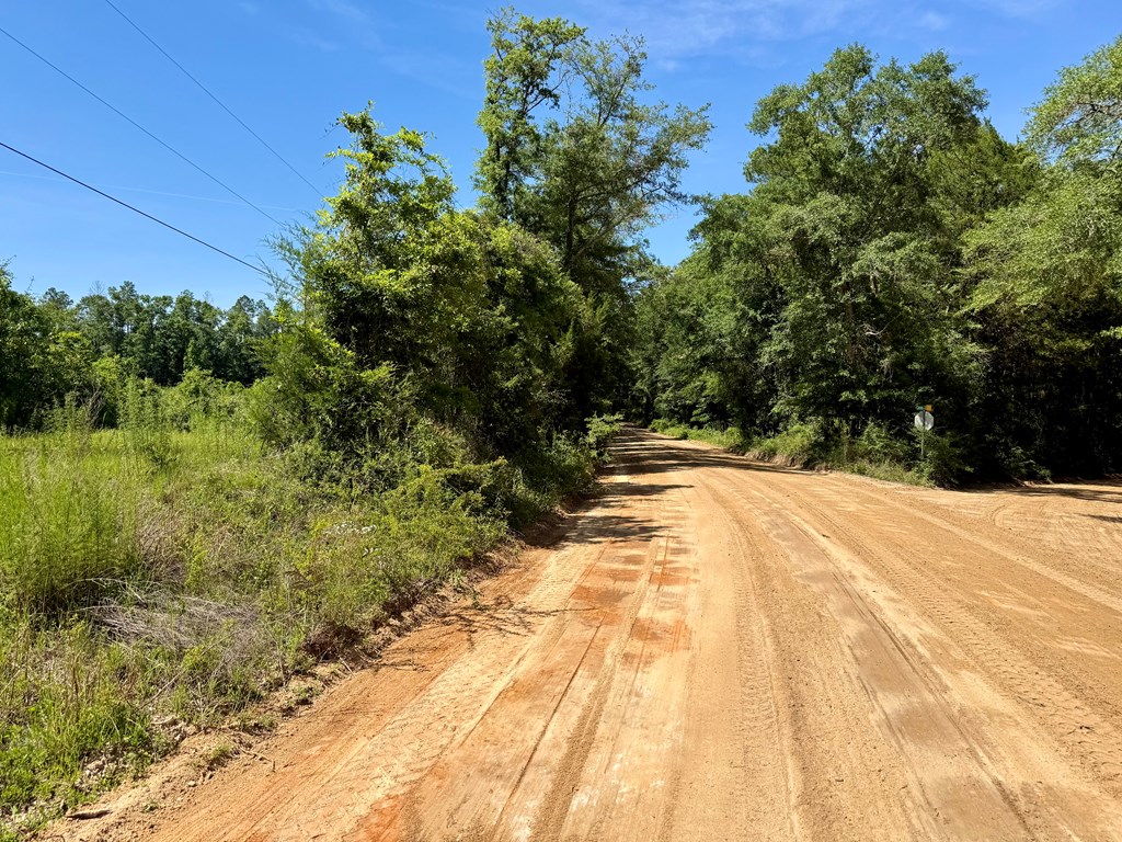 60-acres Hutton Road Hartford, AL 36344 - Photo 2 of 31