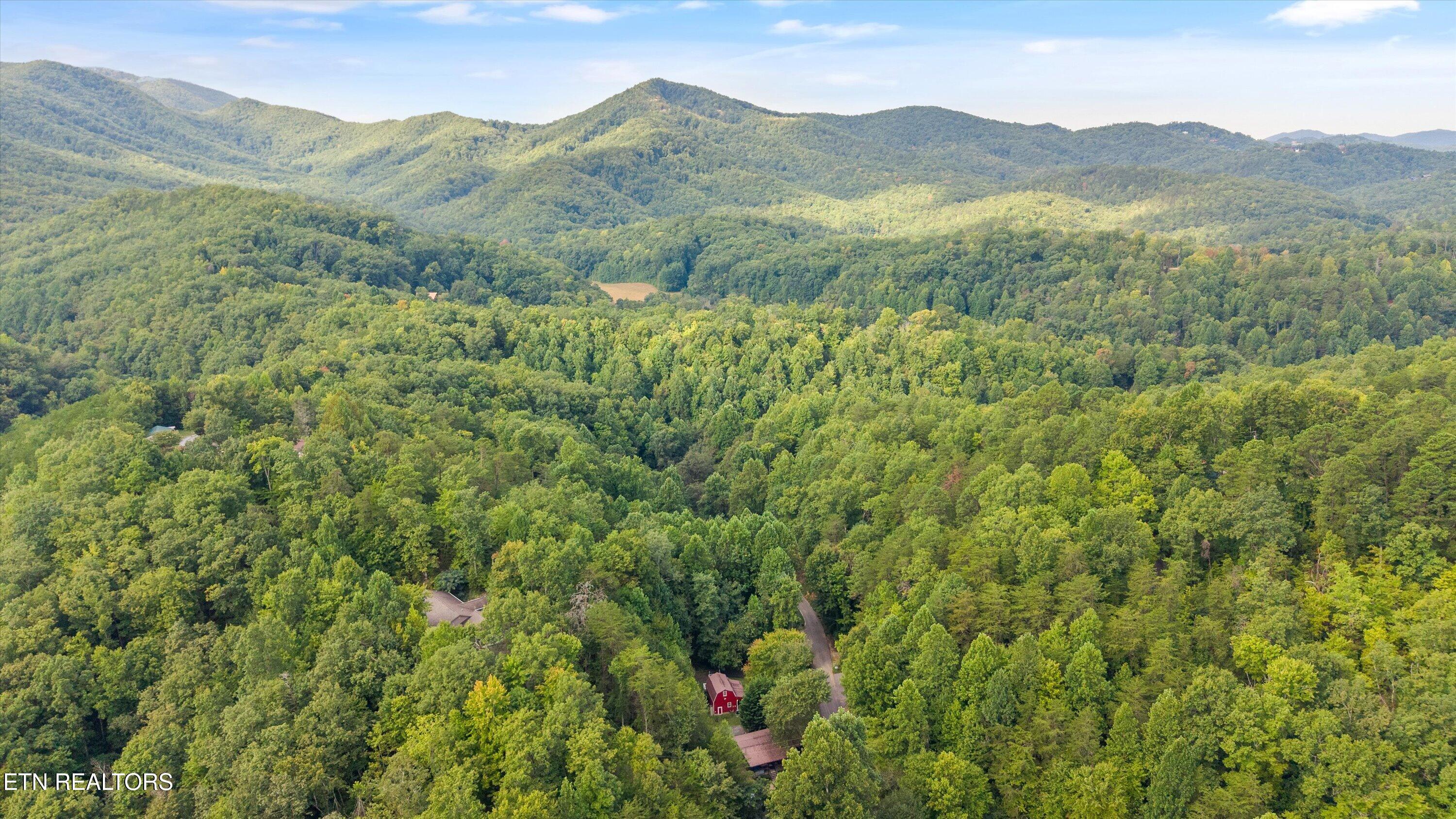 4424-4428 Grindstone Ridge Road Sevierville, TN 37863 - Photo 47 of 47 60-4428 Grindstone Ridge Rd07