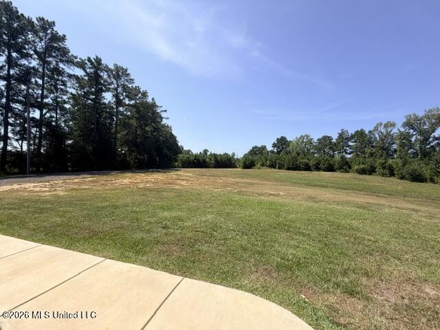 601 McCullough-McLin Road Florence, MS 39073 - Photo 46 of 47 IMG_0188