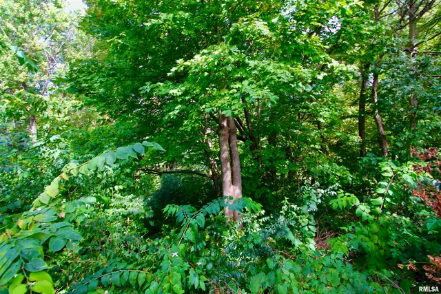 $259,950 | 300 Oakwood Circle, Washington, IL 61571