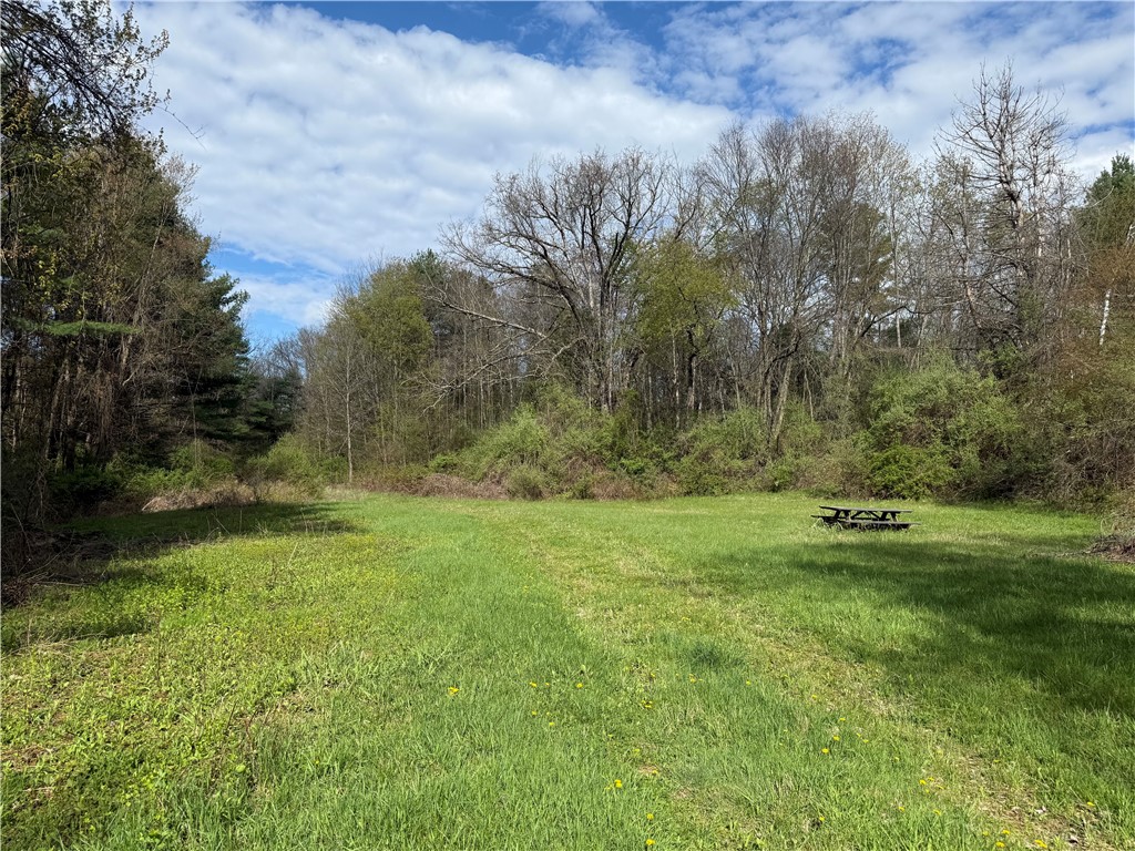 9155 Smith Road Lindley, NY 14870 - Photo 7 of 33