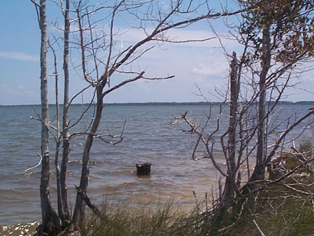Lot 7 Mitchell Avenue Santa Rosa Beach, FL 32459 - Photo 1 of 1 Gallery Image 1