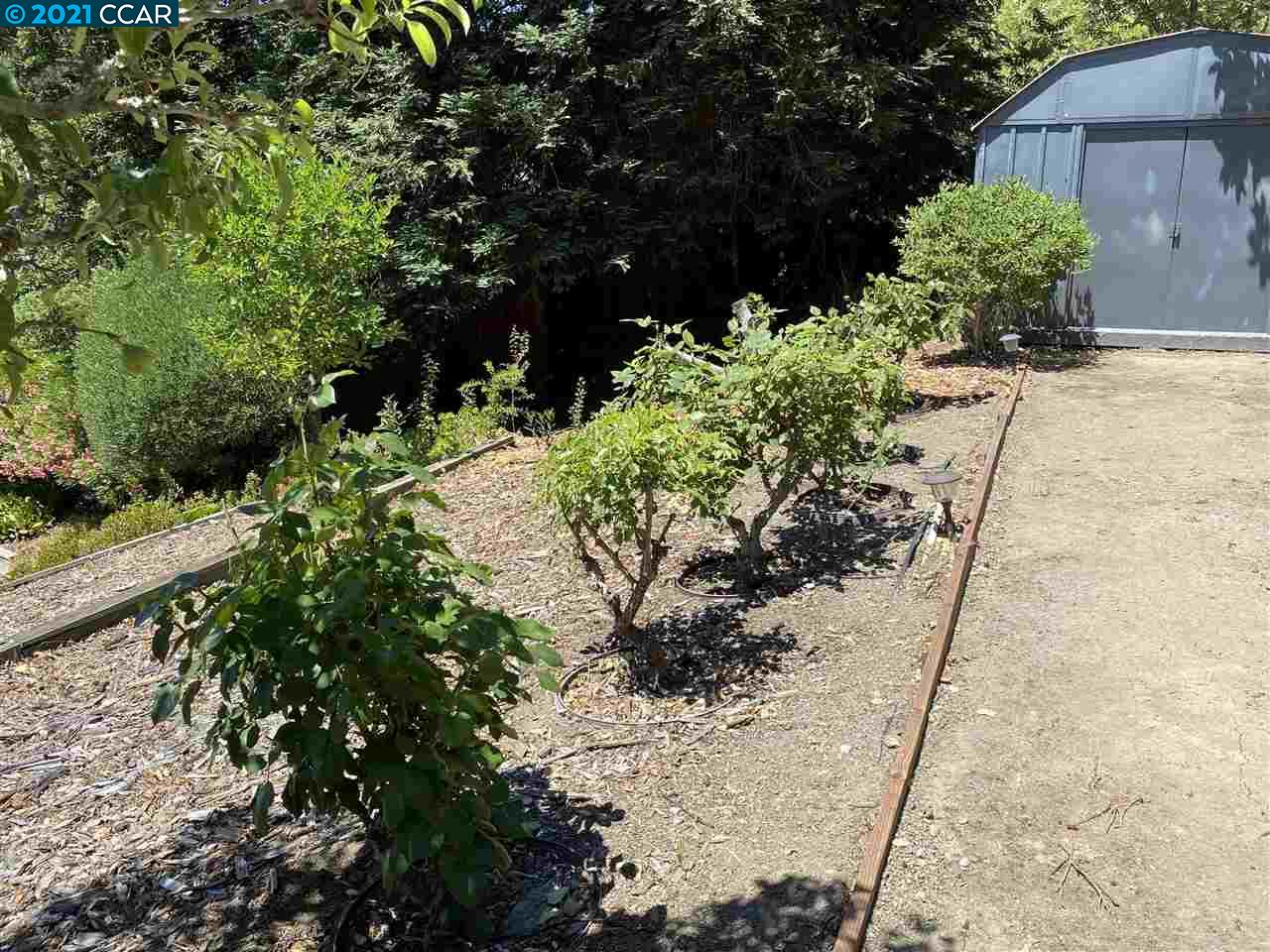 249 Rheem Boulevard Moraga, CA 94556 - Photo 21 of 32