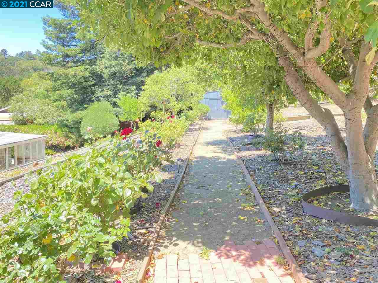 249 Rheem Boulevard Moraga, CA 94556 - Photo 22 of 32