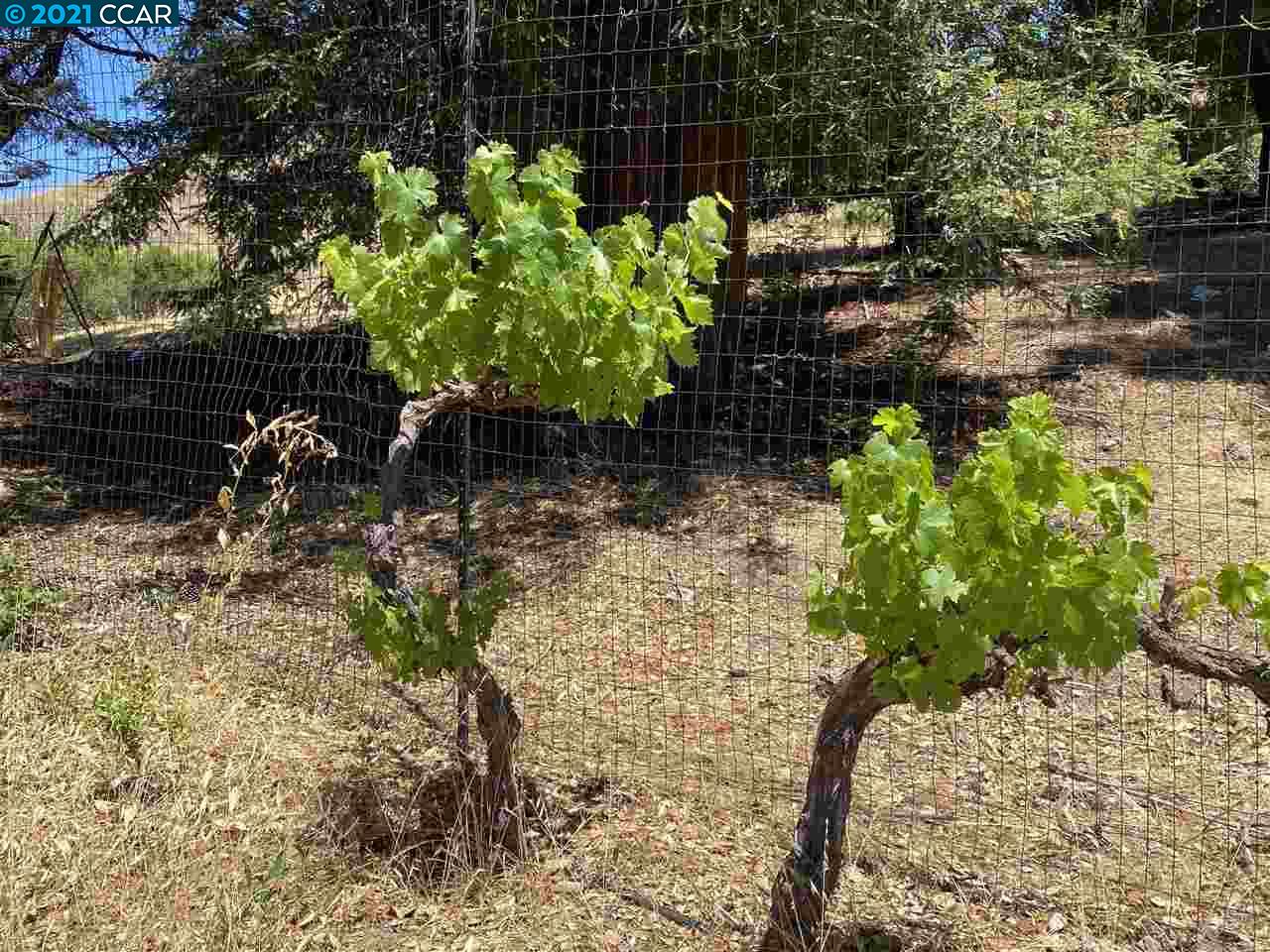 249 Rheem Boulevard Moraga, CA 94556 - Photo 27 of 32