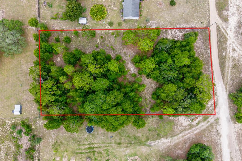 Tbd Northeast 115th Street Bronson, FL 32621 - Photo 4 of 8