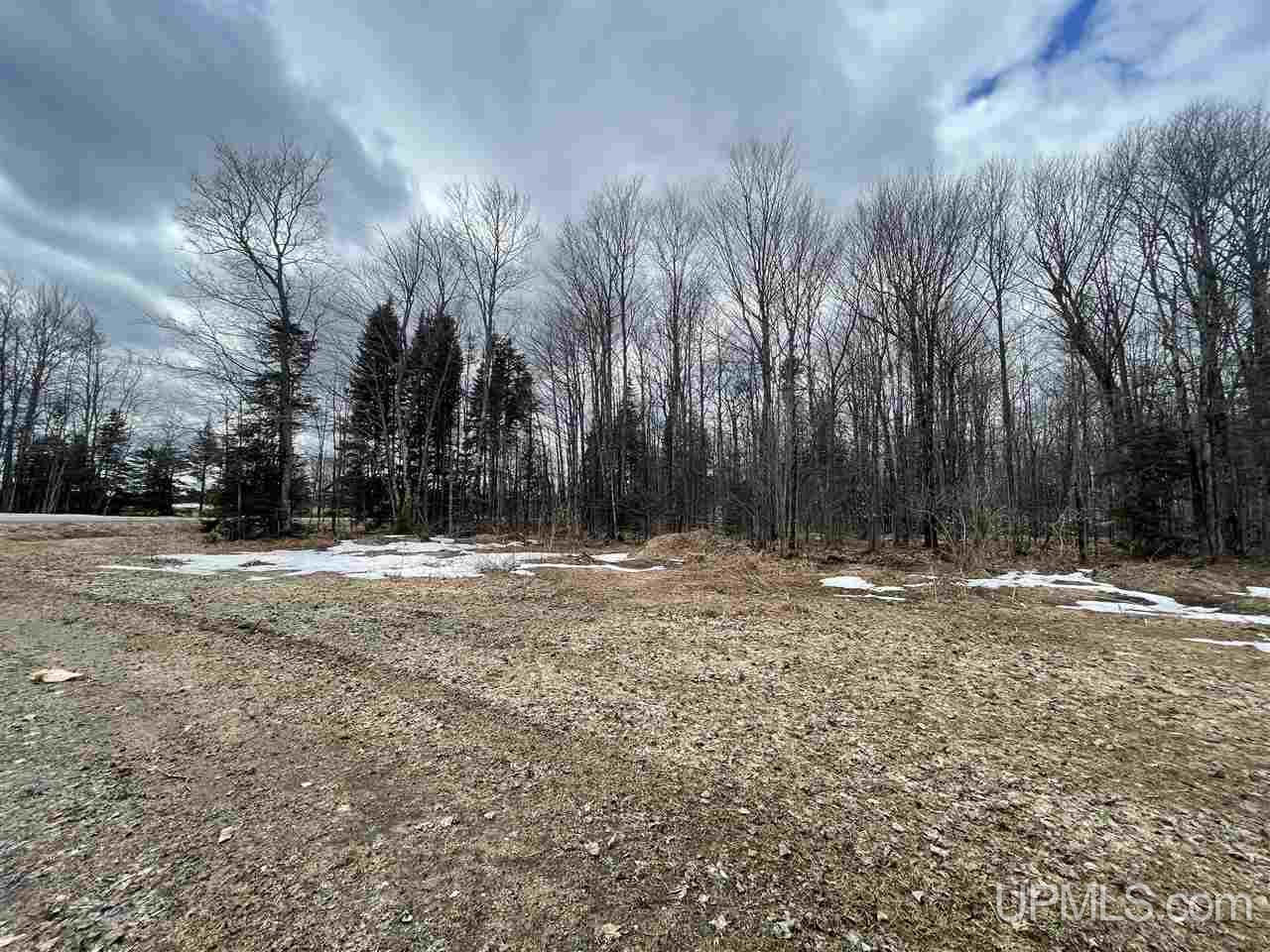 E3416 Co Road Trenary, MI 49891 - Photo 4 of 12