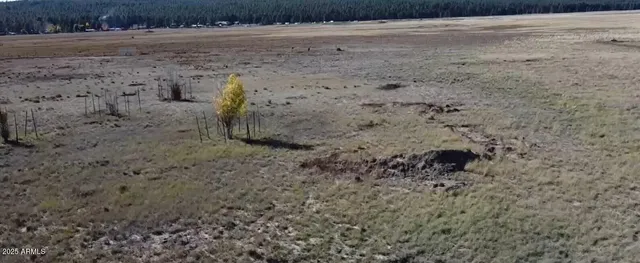 $440,000 | 732 Lots A Luck Lane, Unit 6, Mormon Lake, AZ 86038