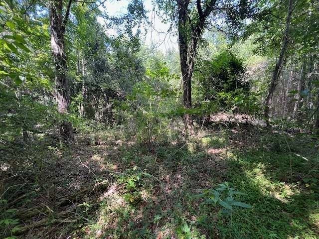 10-ac Laird Road Florala, AL 36442 - Photo 12 of 21 Gallery Image 12