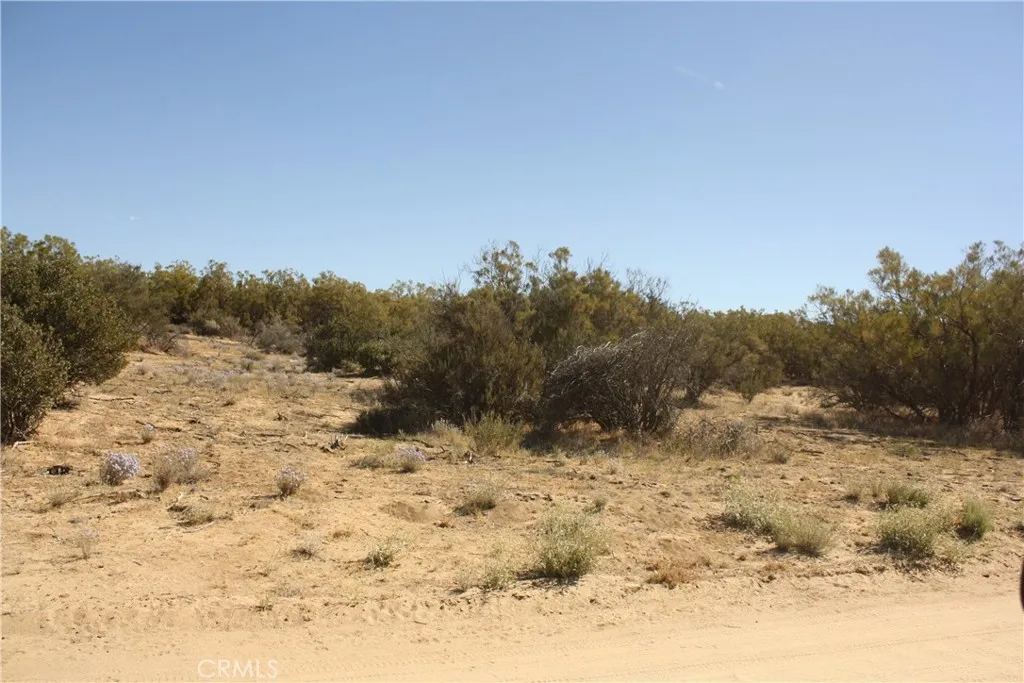 0 Pony Anza, CA 92539 - Photo 12 of 23