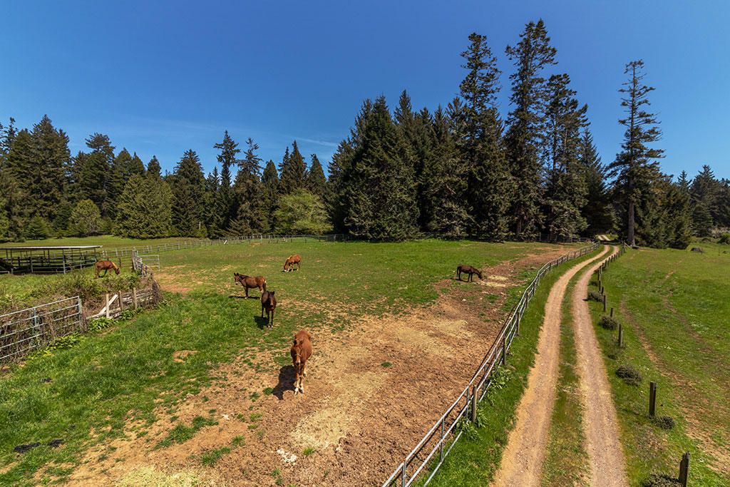 1255 Alder Grove Road Arcata, CA 95521 - Photo 4 of 72