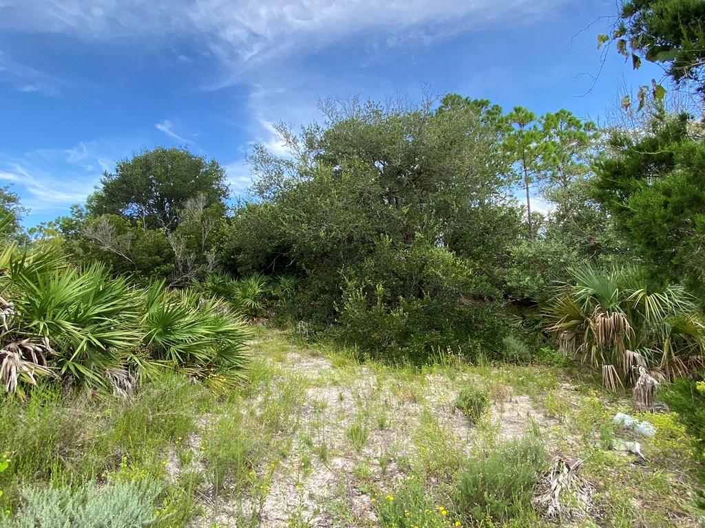 Lot 23 Indian Pass Road Port St. Joe, FL 32456 - Photo 16 of 28